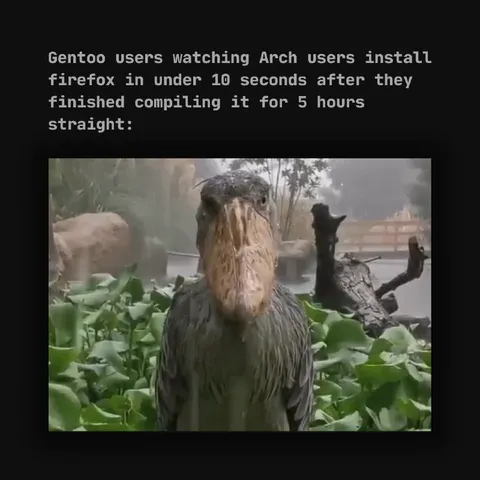 Gentoo Users Watch Arch Users