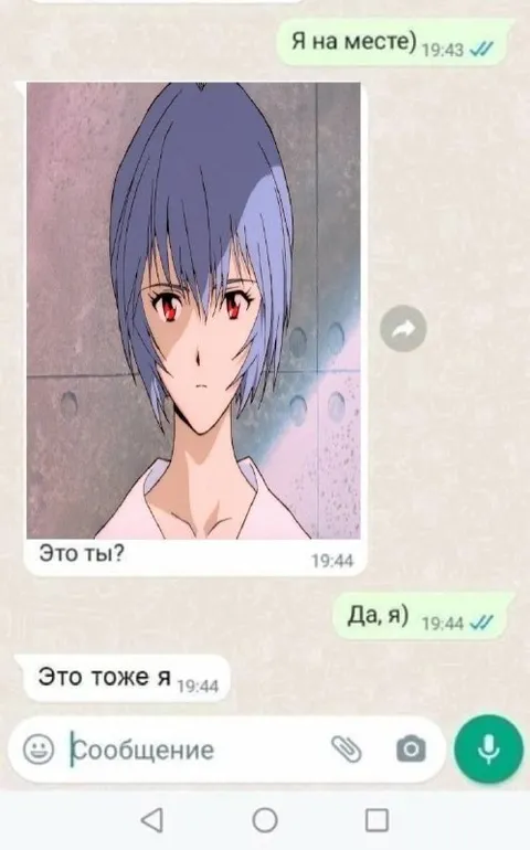 Это тоже я — Рей Аянами