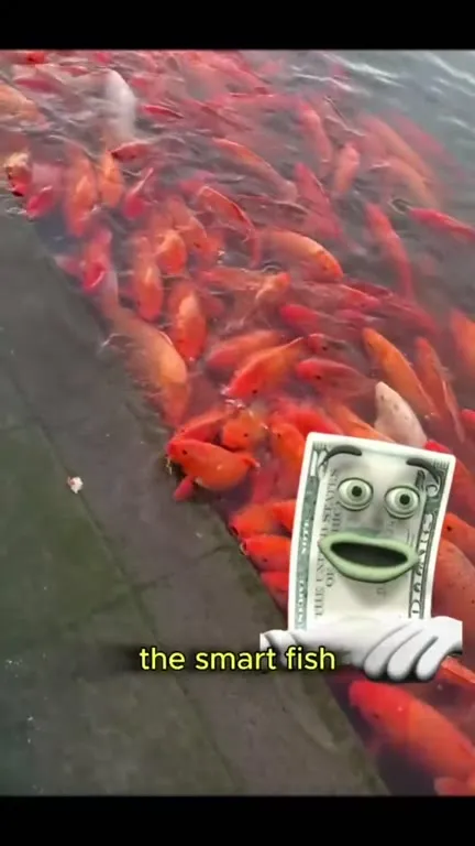 Smart Fish Meets Microplastic