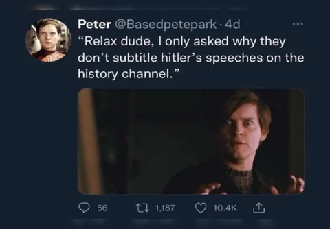 Why They Don't Subtitle Hitler