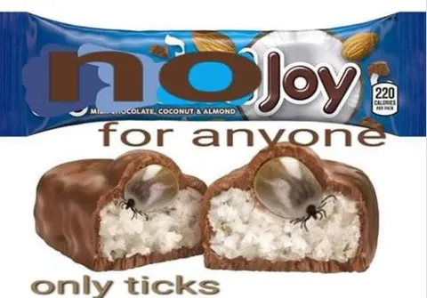 No joy for anyone