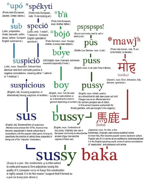 From Suspicious to Sussy Baka