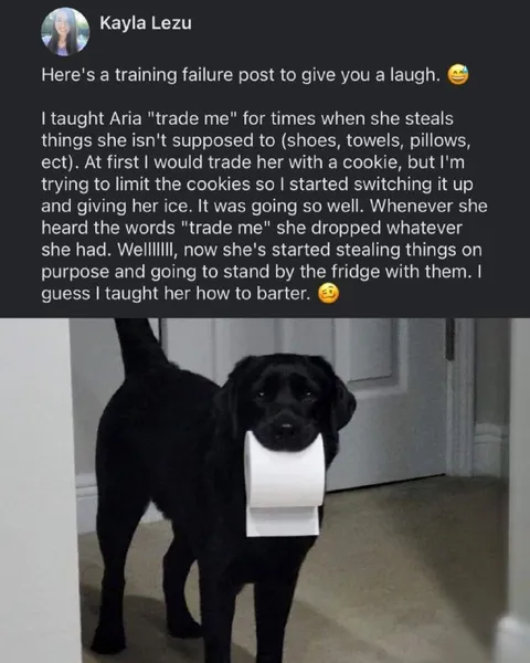Dog Learns to Barter