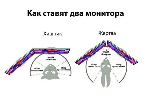Как ставят два монитора