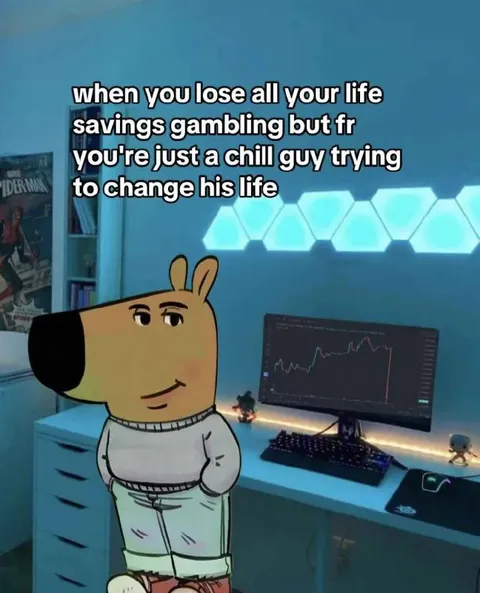 Chill Guy Loses His Savings