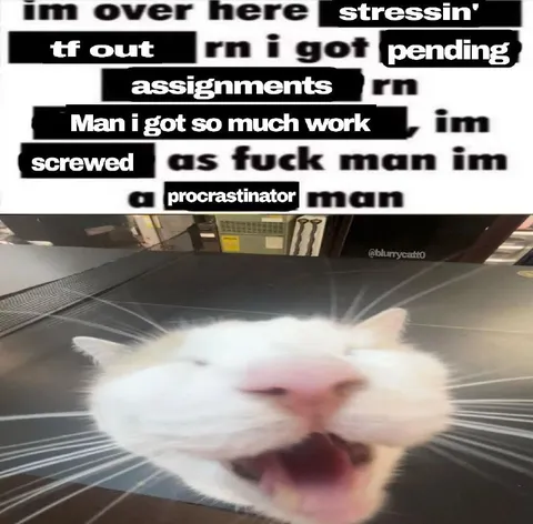 Cat Stressing Over Assignments