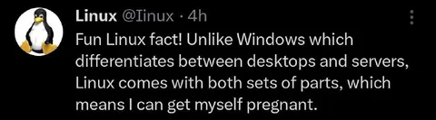 Linux Gets Itself Pregnant