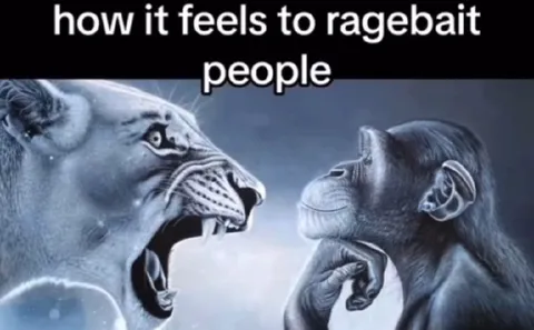 How It Feels to Ragebait People