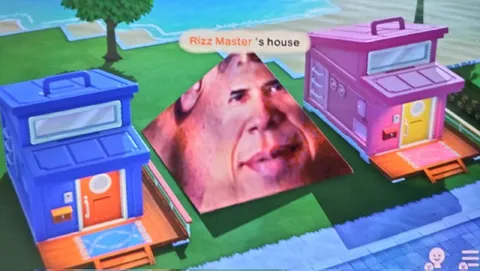 Rizz Master's House