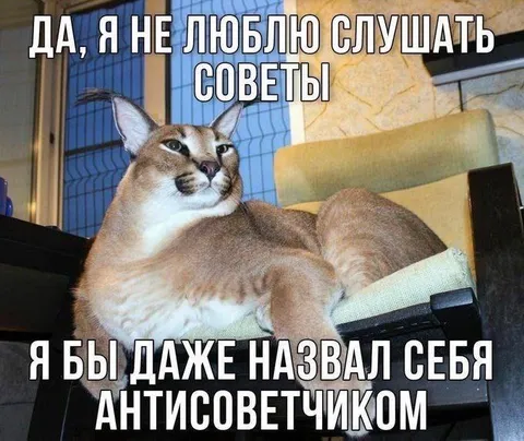 Каракал-антисоветчик