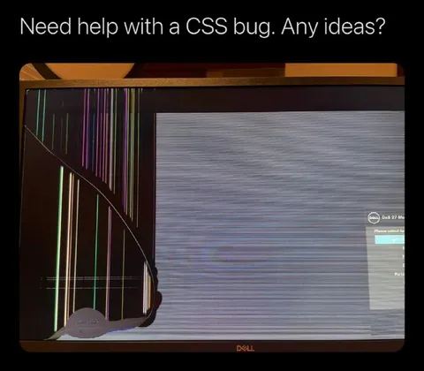 CSS Bug on Broken Monitor