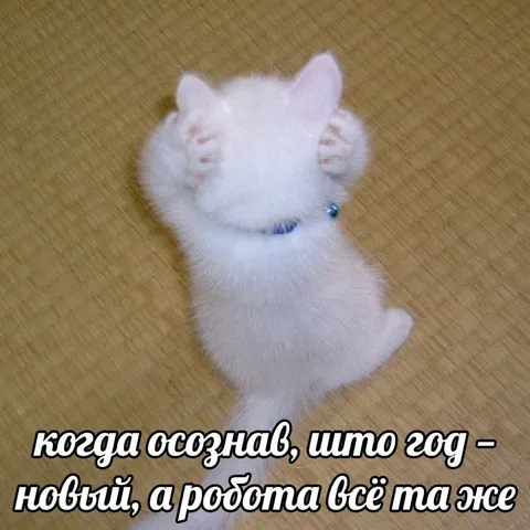 Когда осознал, что год новый