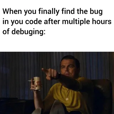 Finally Finding the Bug