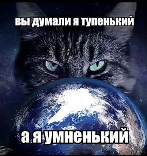 Кот оказался умненьким