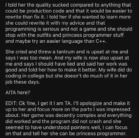 Princess Programmer Code Critique