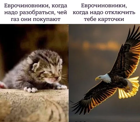 Еврочиновники и отключение карт