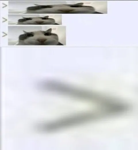 Кот всё ближе