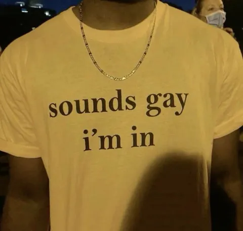 Sounds Gay, I'm In Shirt