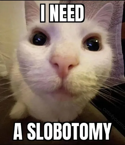 Cat Needs a Slobotomy