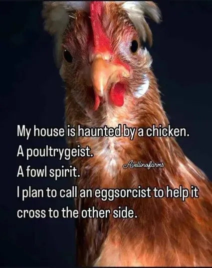 Haunted Chicken Poultrygeist