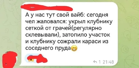 Свой вайб на даче