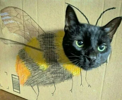 Кот в костюме мухи