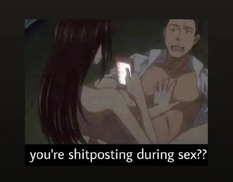 Shitposting During Sex