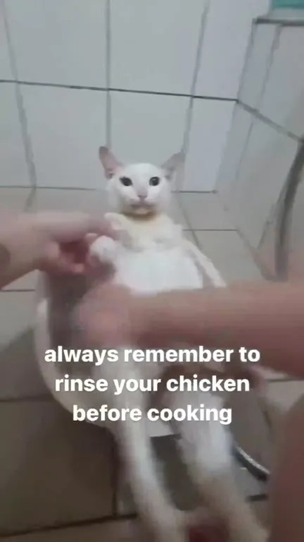 Always Rinse Your Chicken