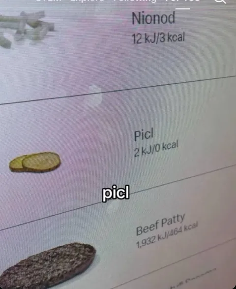 Picl Instead of Pickle