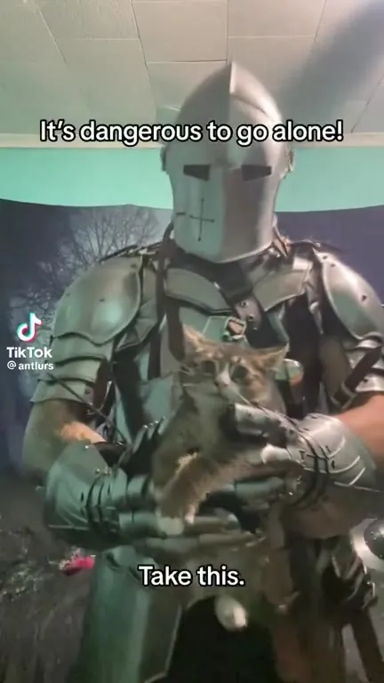 Knight Gives You a Cat