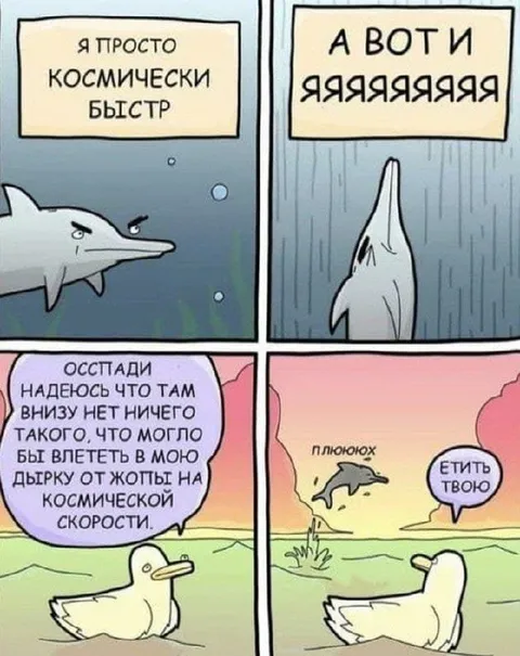 Космически быстрый акулёнок