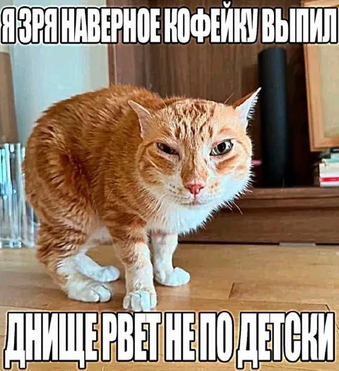 Кофейку зря выпил