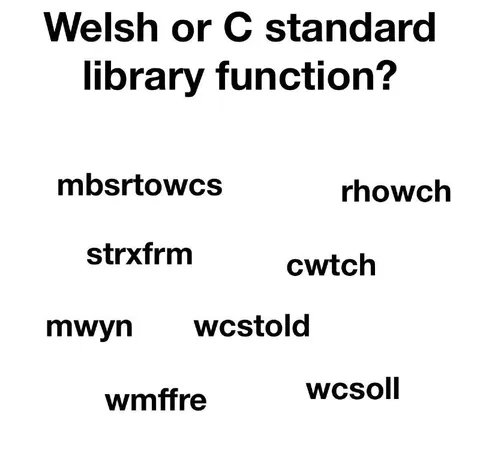 Welsh or C Standard Library