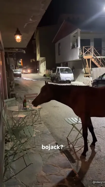 BoJack at the Night Café