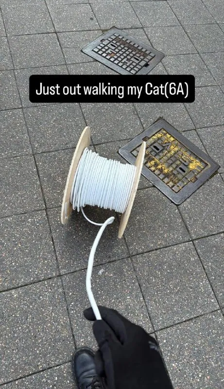 Walking My Cat6A Cable