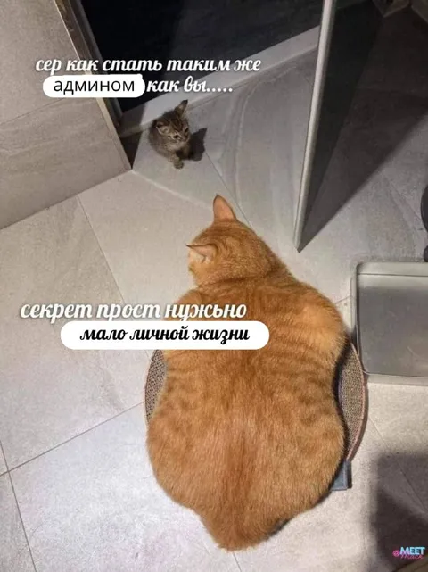 Как стать админом