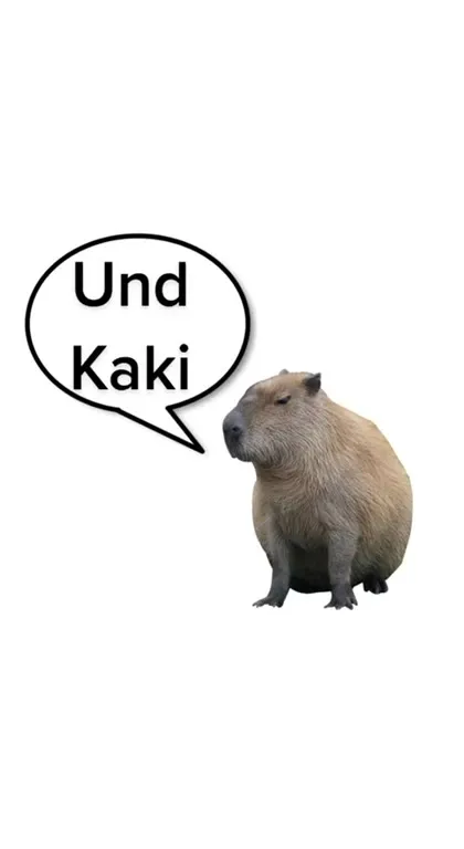 Pipi und Kaki im Kakaland