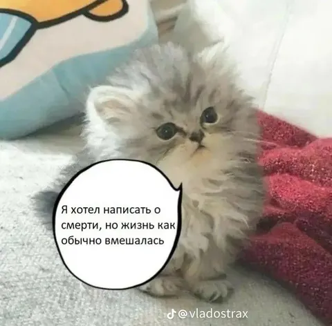 Жизнь снова помешалась