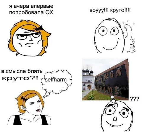 Когда СХ поняли неправильно