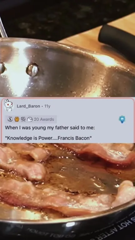 France Is Bacon Misunderstanding