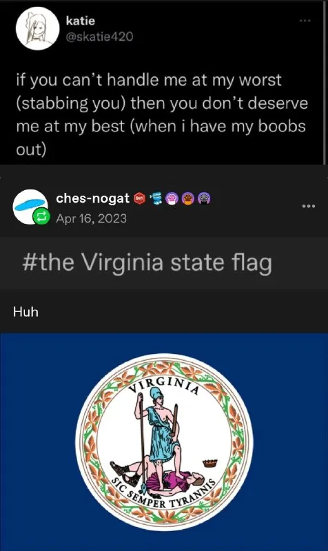 Virginia State Flag Double Meaning