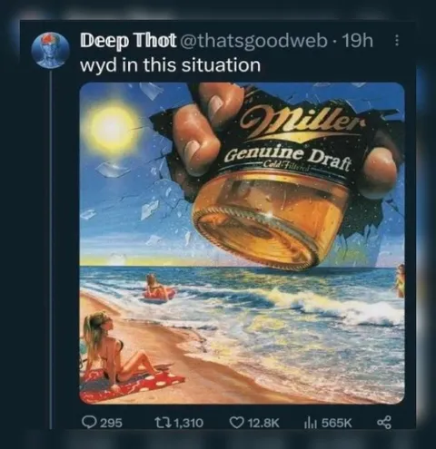 What would you do at the beach?