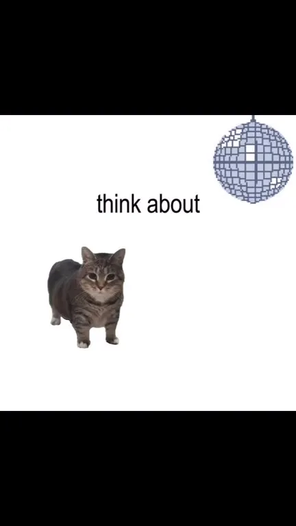 Cat Dancing to Kylie Minogue