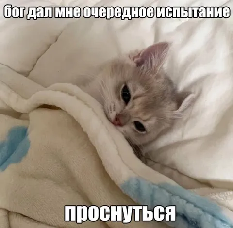 Бог дал очередное испытание