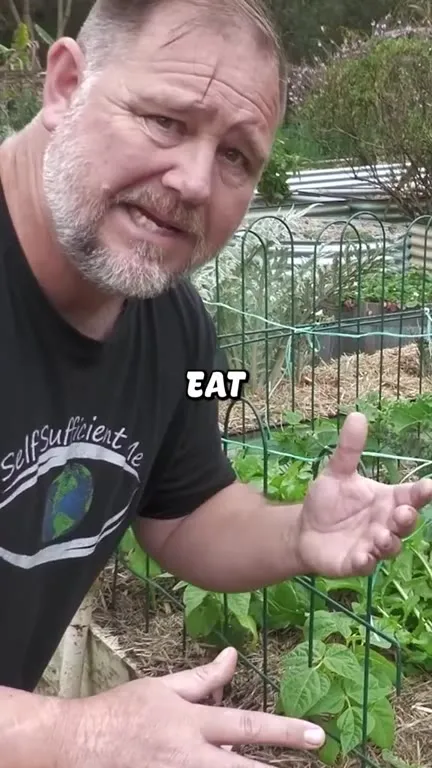 If You Don’t Fart, You Die