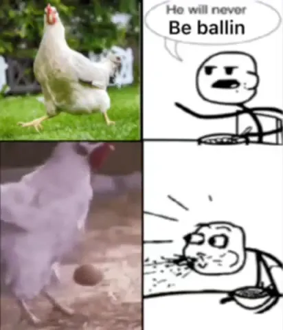 Chicken Proves Him Wrong