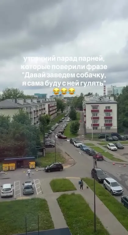 Утренний парад гуляющих с собакой
