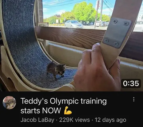 Teddy's Olympic Training Starts Now