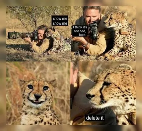 Cheetah Says Delete It