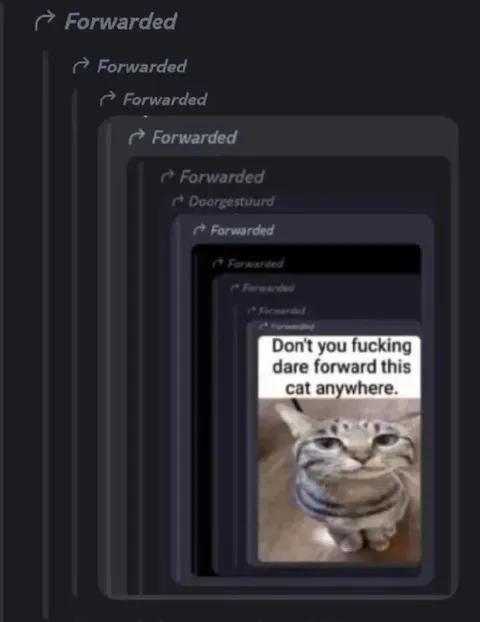 Don't Forward This Cat